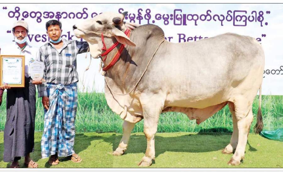 မွေးမြူရေးဆိုင်ရာ အသိပညာ 