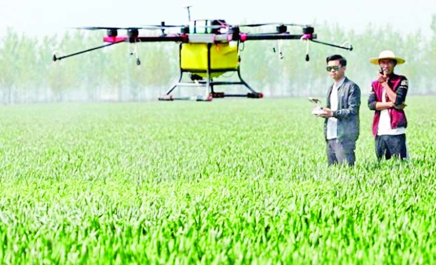 ဆောင်းပါး