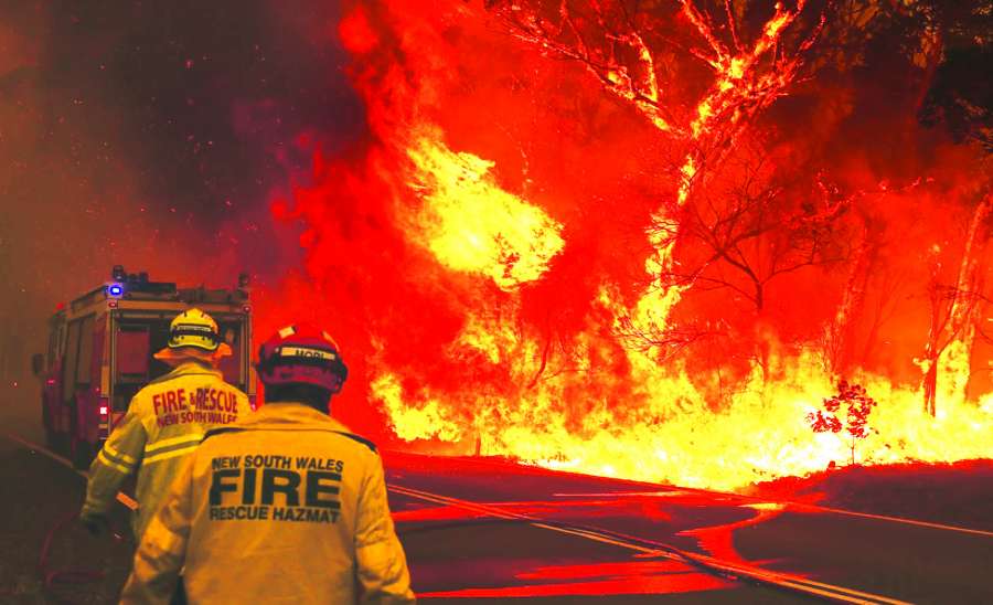 ဆောင်းပါး