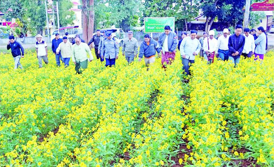 ဆောင်းပါး