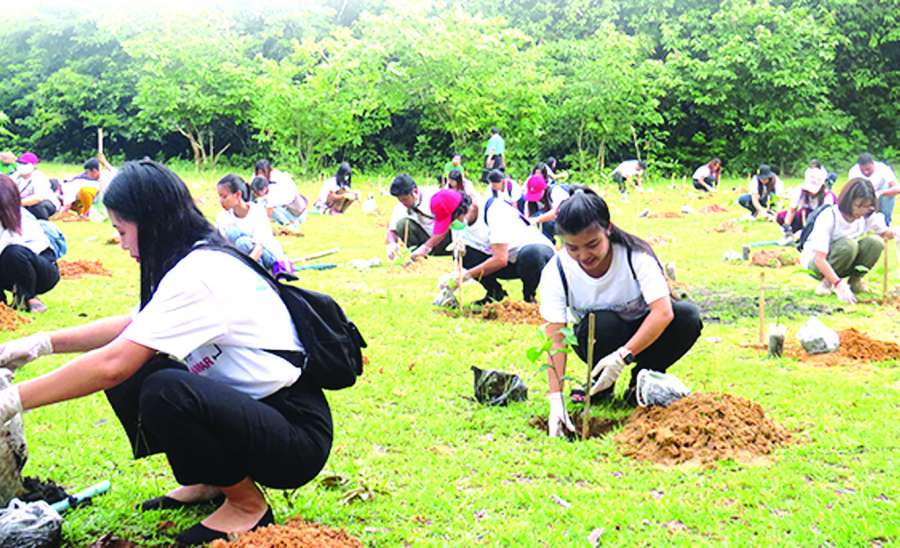 ဆောင်းပါး