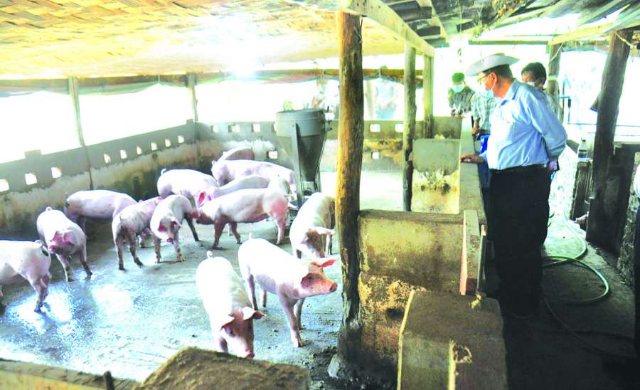 ဆောင်းပါး