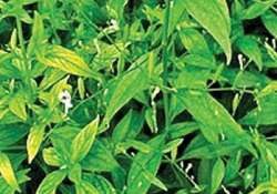 ကျန်းမာရေး