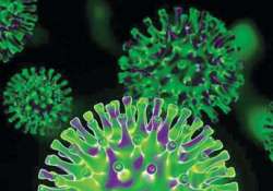 မျိုးဗီဇပြောင်း အိုမီခရွန်ကြောင့် ရောဂါဖြစ်ပွားမှု များပြားမလာစေရေး ကြိုတင်ပြင်ဆင် ထားရှိမှုများ