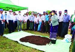 ဆောင်းပါး