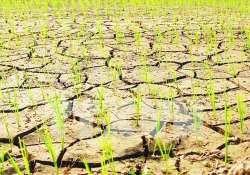 ဆောင်းပါး