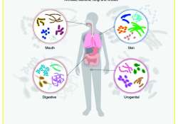 ဆောင်းပါး