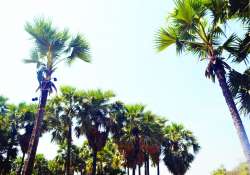 ဆောင်းပါး