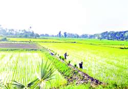 ဆောင်းပါး