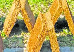 ဆောင်းပါး