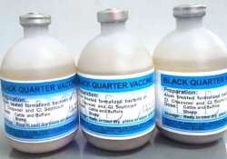 ဆောင်းပါး