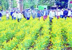 ဆောင်းပါး