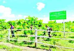 ဆောင်းပါး