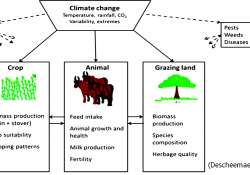 ရာသီဥတုပြောင်းလဲမှုကိုကျော်လွှားရေး စိုက်ပျိုးမွေးမြူရေး ပေါင်းစည်းစနစ်ဖော်ဆောင်ပေး