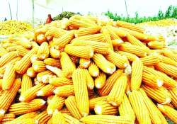 ဆောင်းပါး