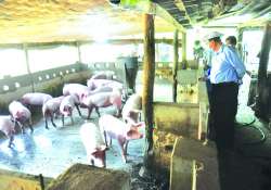 ဆောင်းပါး