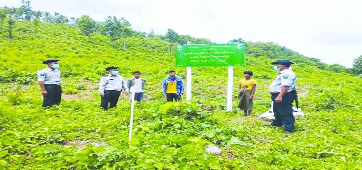 စားနပ်ရိက္ခာဖူလုံဖို့၊ သီးနှံသစ်တောရောနှောစိုက်ပျိုးစို့