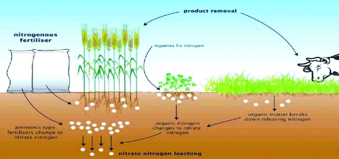 ဆောင်းပါး