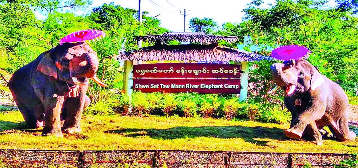 ဆောင်းပါး