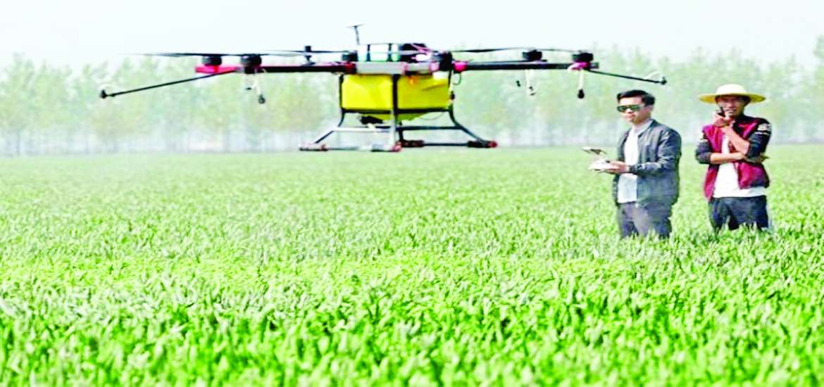 ဆောင်းပါး