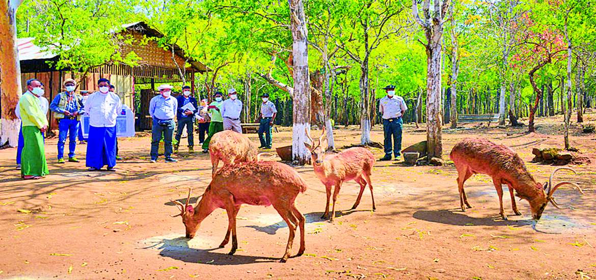 ဆောင်းပါး