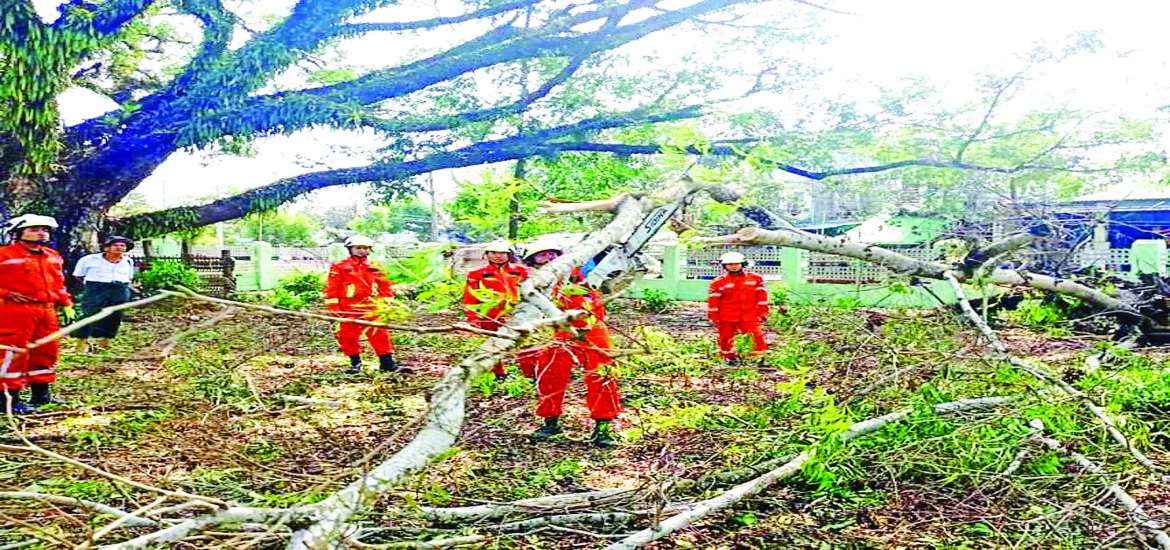 ULA/AA ကြောင့် သဇင်ပန်းတွေကြွေရတော့မယ့် သာလီစွ ငါရို့ရခိုင်မြေ