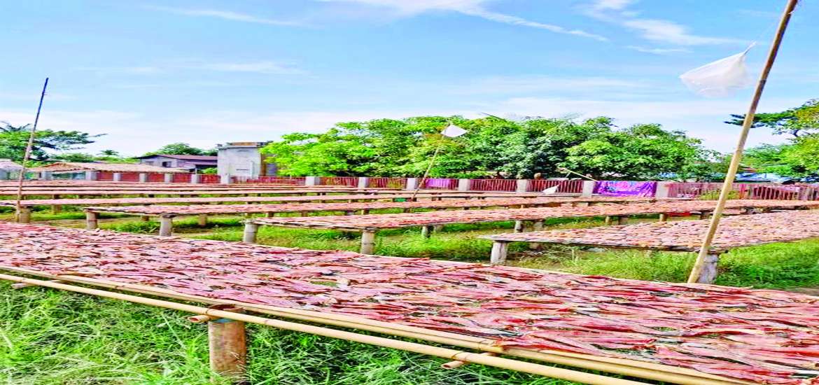 ဆောင်းပါး