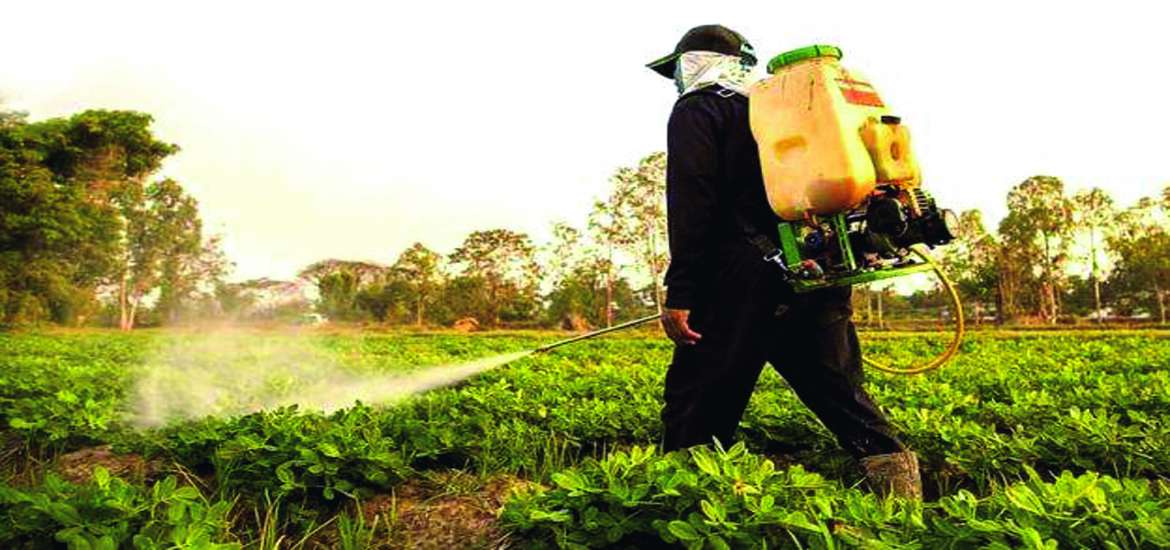 ဆောင်းပါး