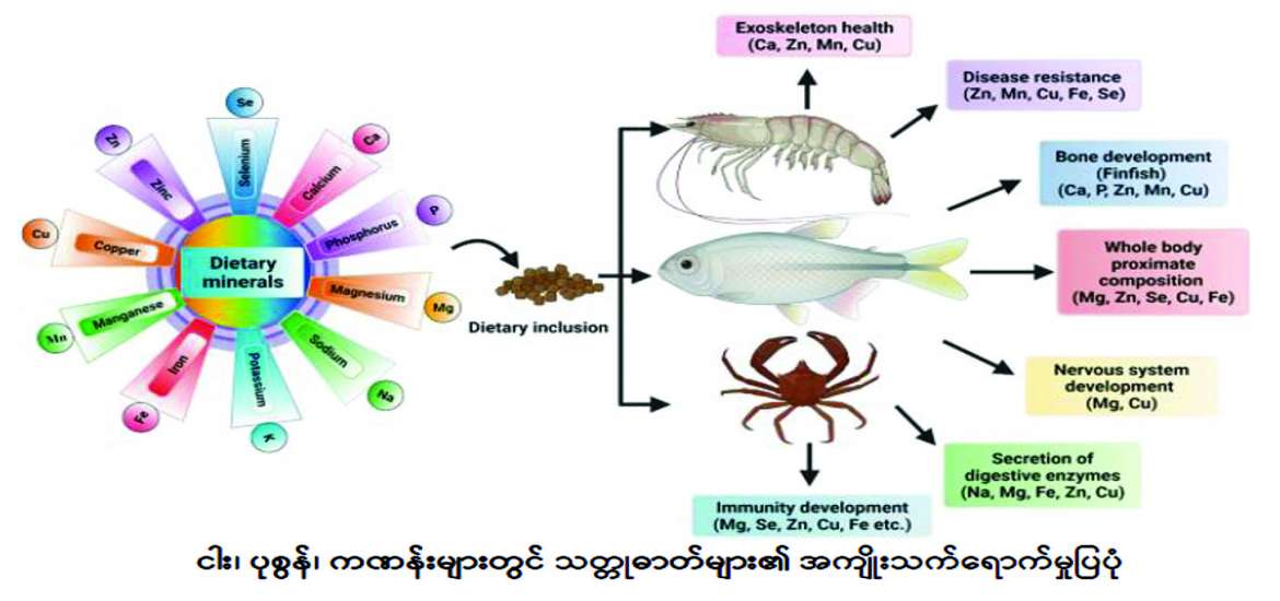 ဆောင်းပါး