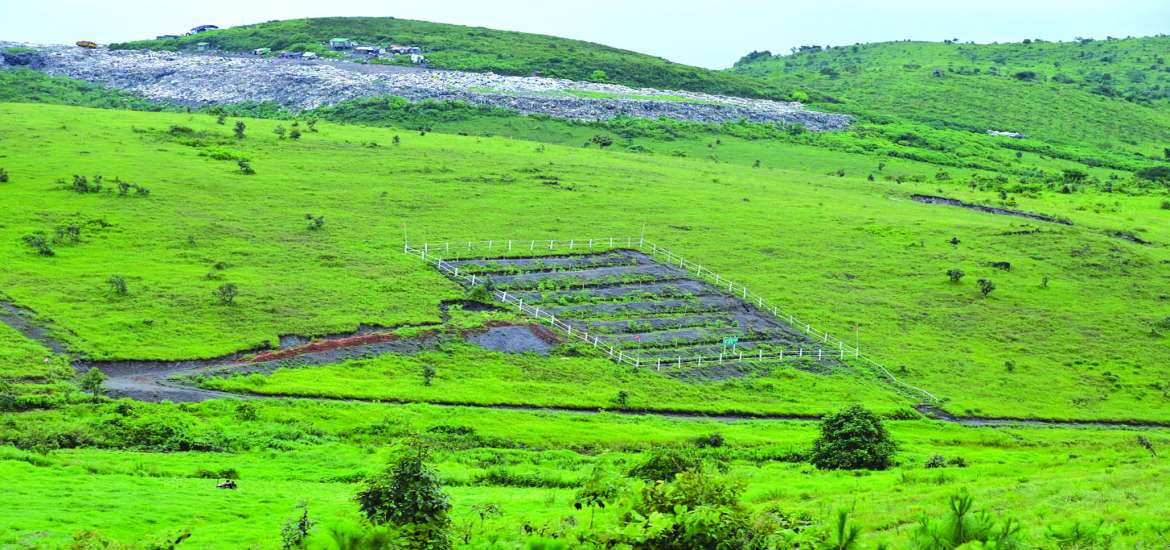 စိုက်ပျိုးဖြစ်ထွန်းအောင်မြင်ဖို့ မြေဆီလွှာထိန်းသိမ်းစို့