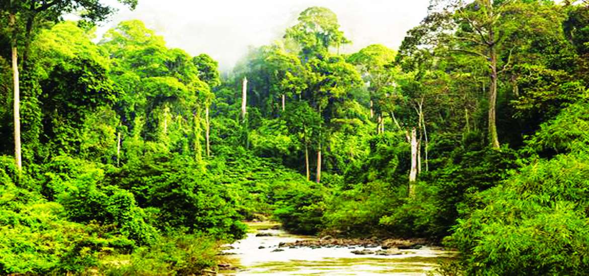 ဆောင်းပါး