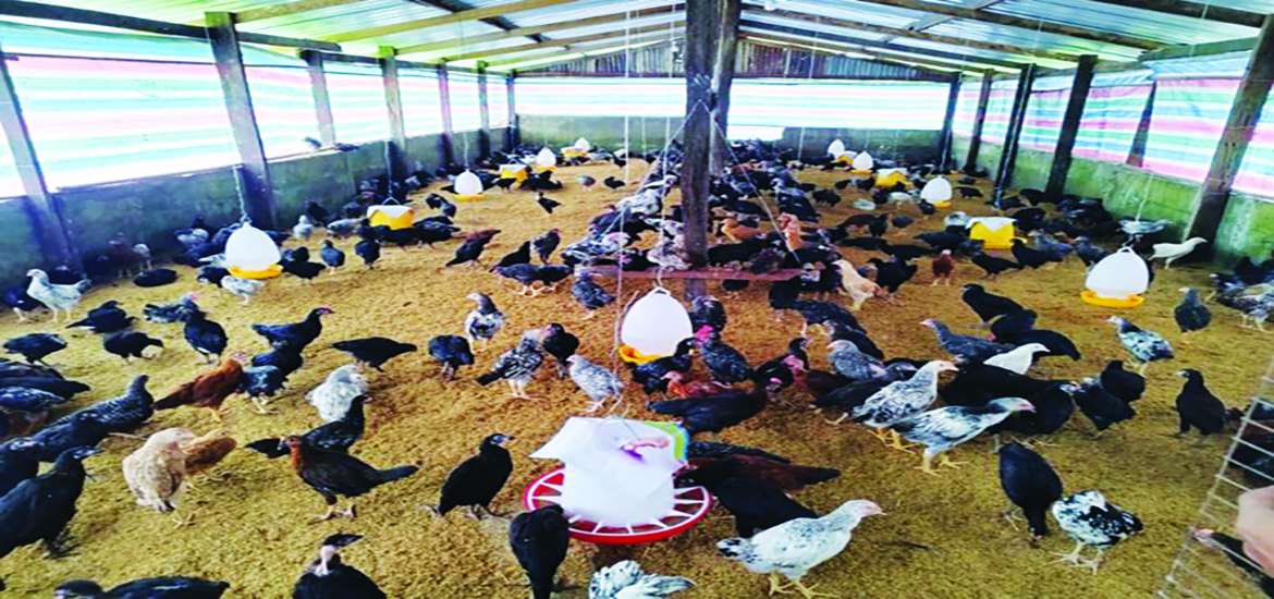 ဆောင်းပါး