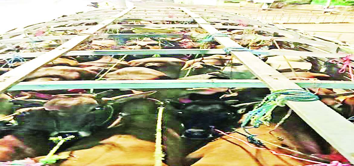 ဆောင်းပါး