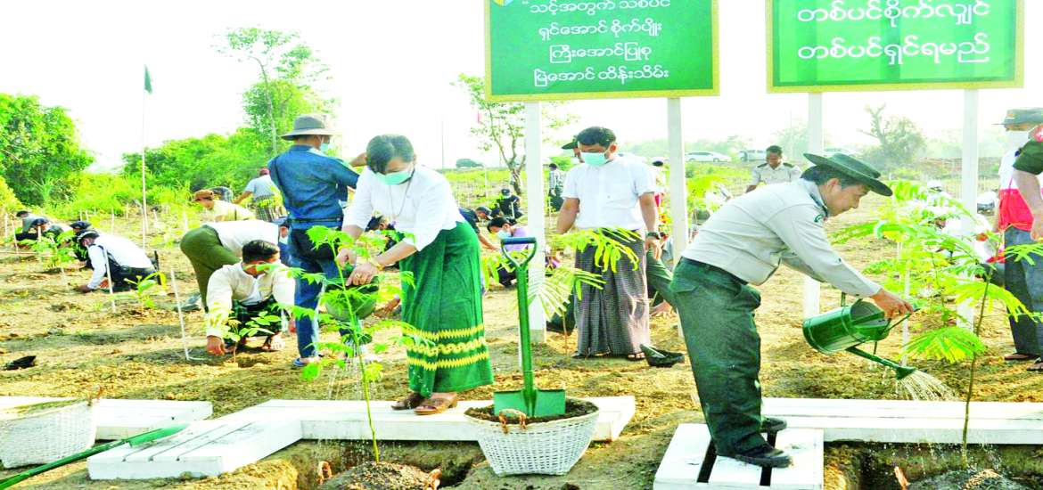 တစ်သက်လုံးစိတ်ချမ်းသာဖို့ သစ်ပင်စိုက်ကြစို့